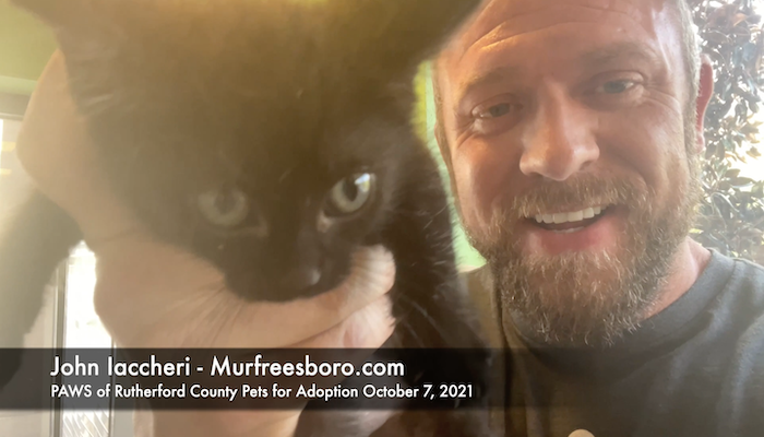 PAWS of Rutherford County Pets for Adoption October 7, 2021