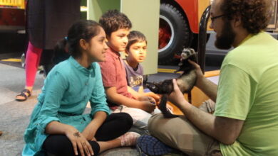 Home School Learning Field Trips to Discovery Center