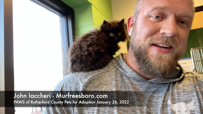 PAWS of Rutherford County Pets for Adoption January 26, 2022