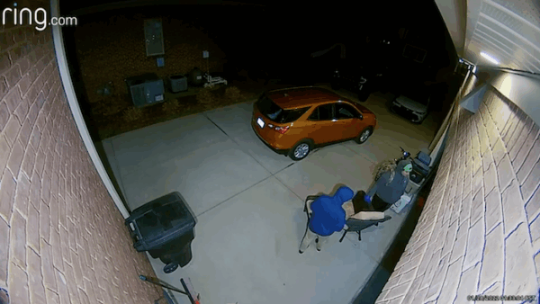 BOLO Burglary Suspects