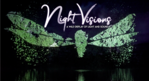 Night Visions Nashville Zoo