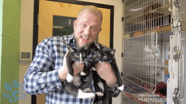 PAWS of Rutherford County Pets for Adoption March 23, 2022