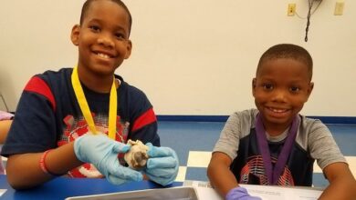 Learning Pod - Amazing Anatomy Dissection Labs