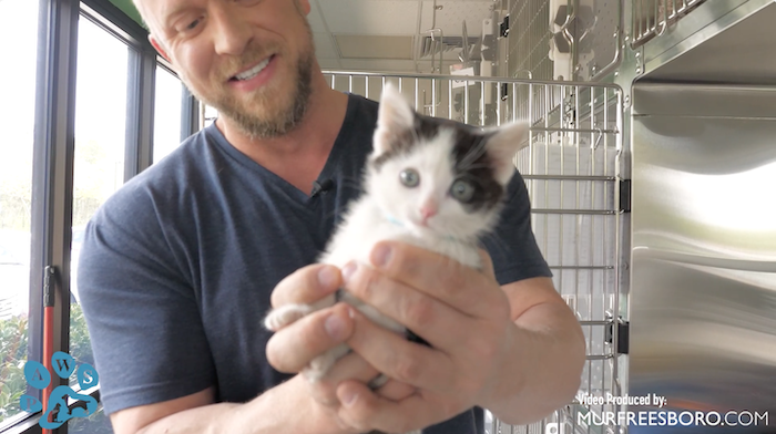 PAWS Pets for Adoption April 21, 2022