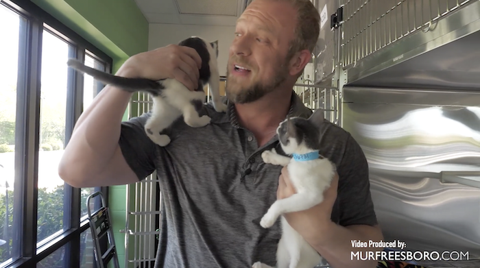 PAWS Pets for Adoption April 28, 2022