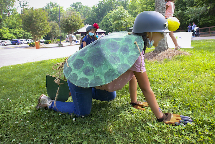 World Turtle Day