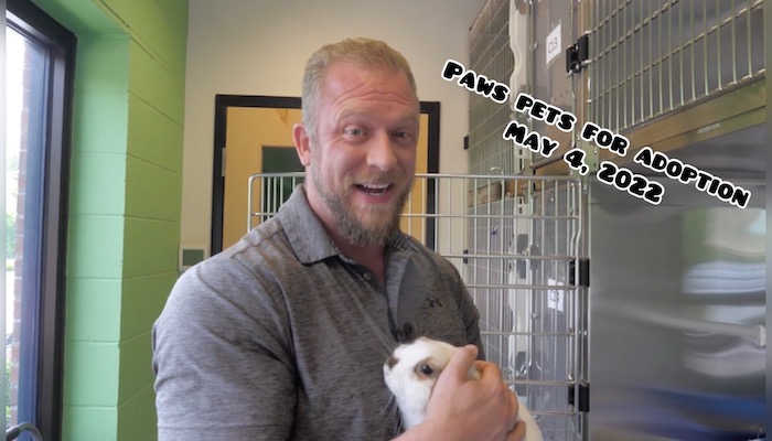 PAWS Pets for Adoption May 4, 2022