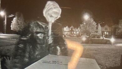 Ramsden Ave Suspect