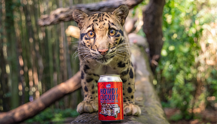 Howdy Cloudy Beer Debut at Nashville Zoo