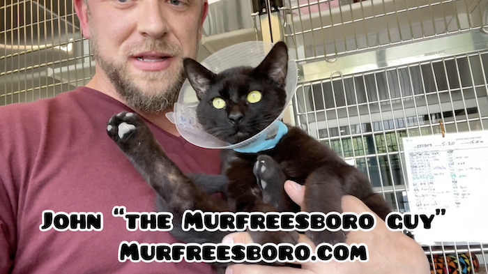 PAWS Pets for Adoption June 10, 2022