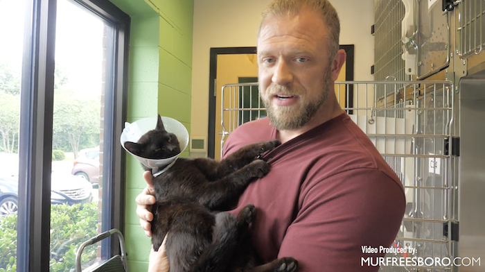 PAWS Pets for Adoption June 3, 2022