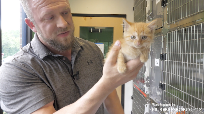 PAWS Pets for Adoption July 14, 2022