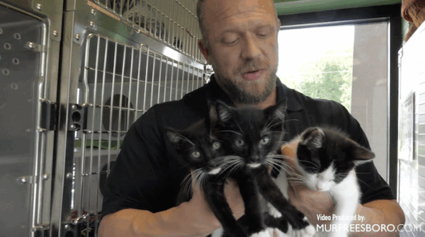PAWS Pets for Adoption July 21, 2022