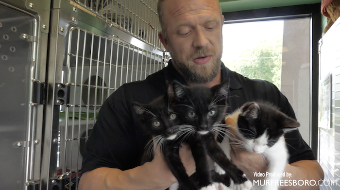 PAWS Pets for Adoption July 21, 2022