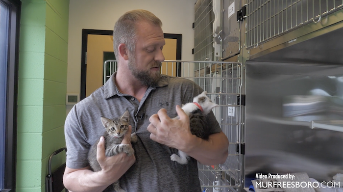 PAWS Pets for Adoption July 29, 2022