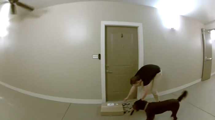 BOLO Porch Pirate