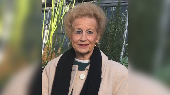 Nancy Haynes