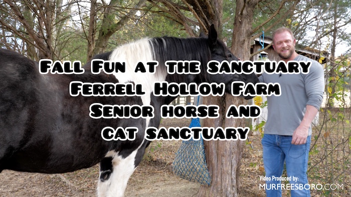 Fall Fun at the Sanctuary