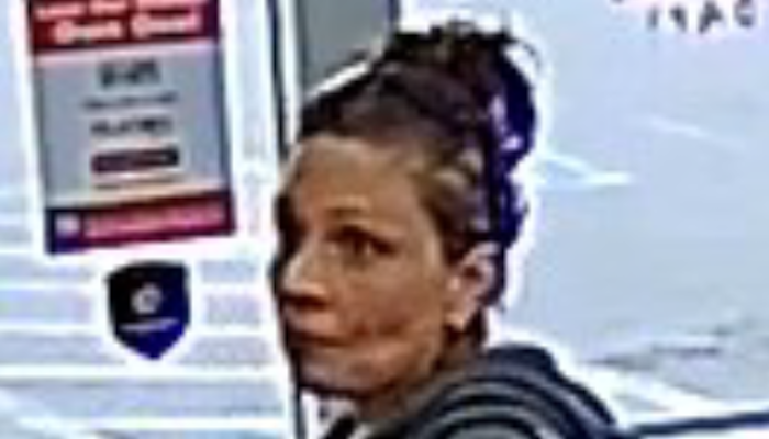 BOLO: Plato’s Closet Theft of Merchandise