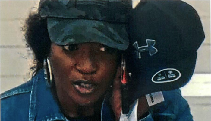 Woman Sought for Theft at Kohl’s