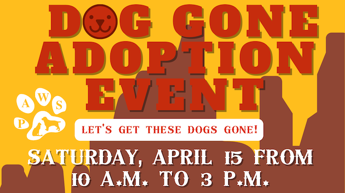 Community Festival Hosted to Drive Awareness for Local Shelter Pets in Need