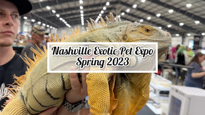 Nashville Exotic Pet Expo Spring 2023