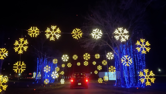 Dancing Lights of Christmas 2023