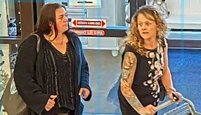 BOLO Hobby Lobby Shoplifting Person of Interest