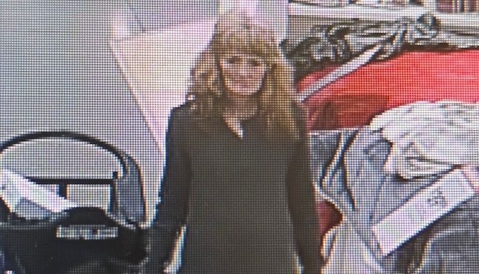 Person Wanted for JCPenney Theft of Merchandise