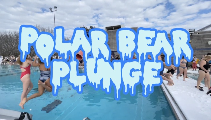 Nashville Polar Bear Plunge