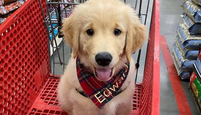 Tractor Supply's Pet Treat Tasting Event