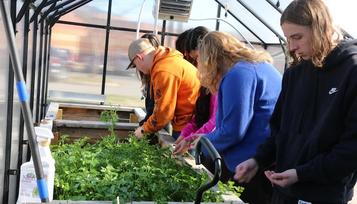 Holloway High School Plants
