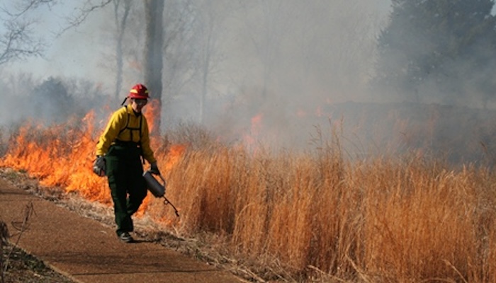 Stones River National Battlefield Prescribed Fire