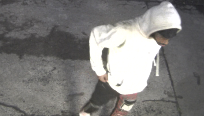 Person of Interest Wanted for Theft From a Vehicle/Vandalism