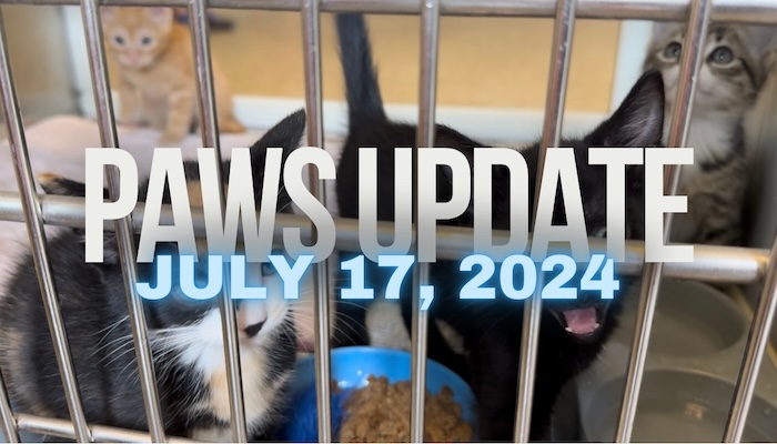 PAWS July 17, 2024