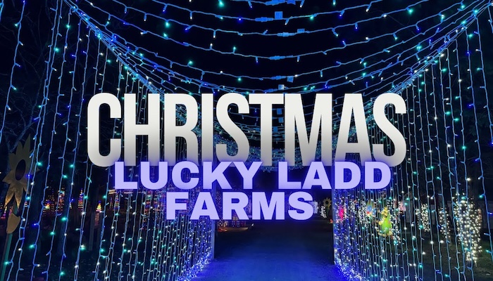Lucky Ladd Farms Christmas