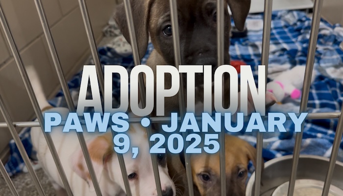 First Visit to PAWS for 2025