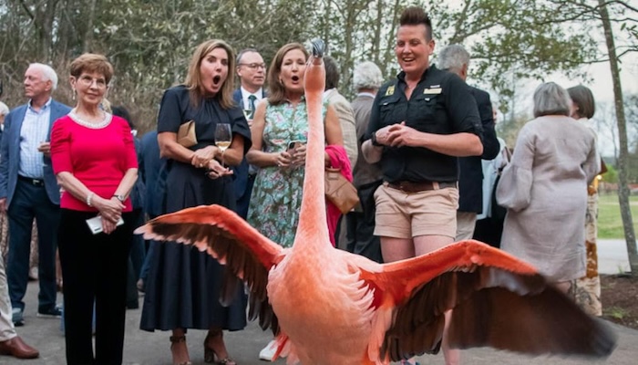 An Enchanting Evening at Call of the Wild