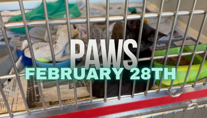 PAWS Feb 28th