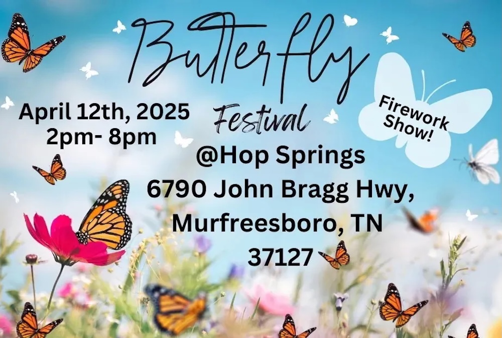 Butterfly Festival