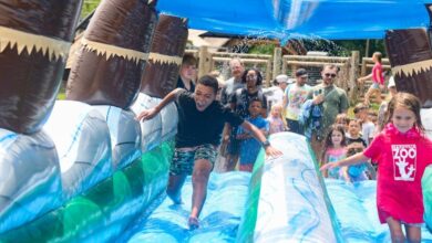 Nashville Zoo’s Summer Splash Saturdays