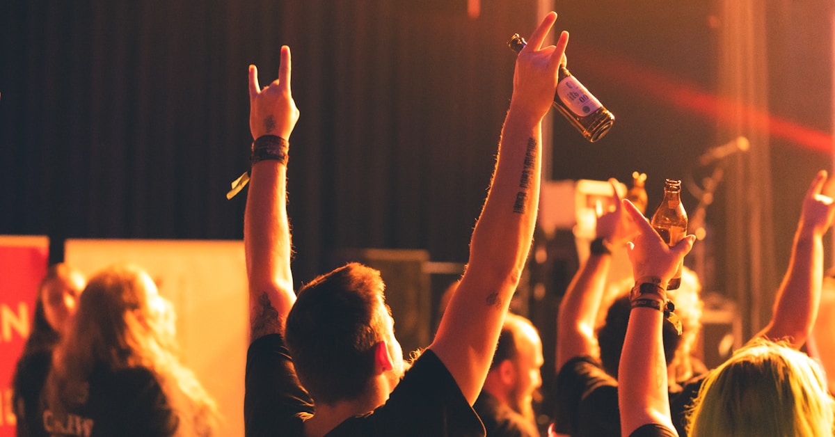 Bonnaroo festival crowd