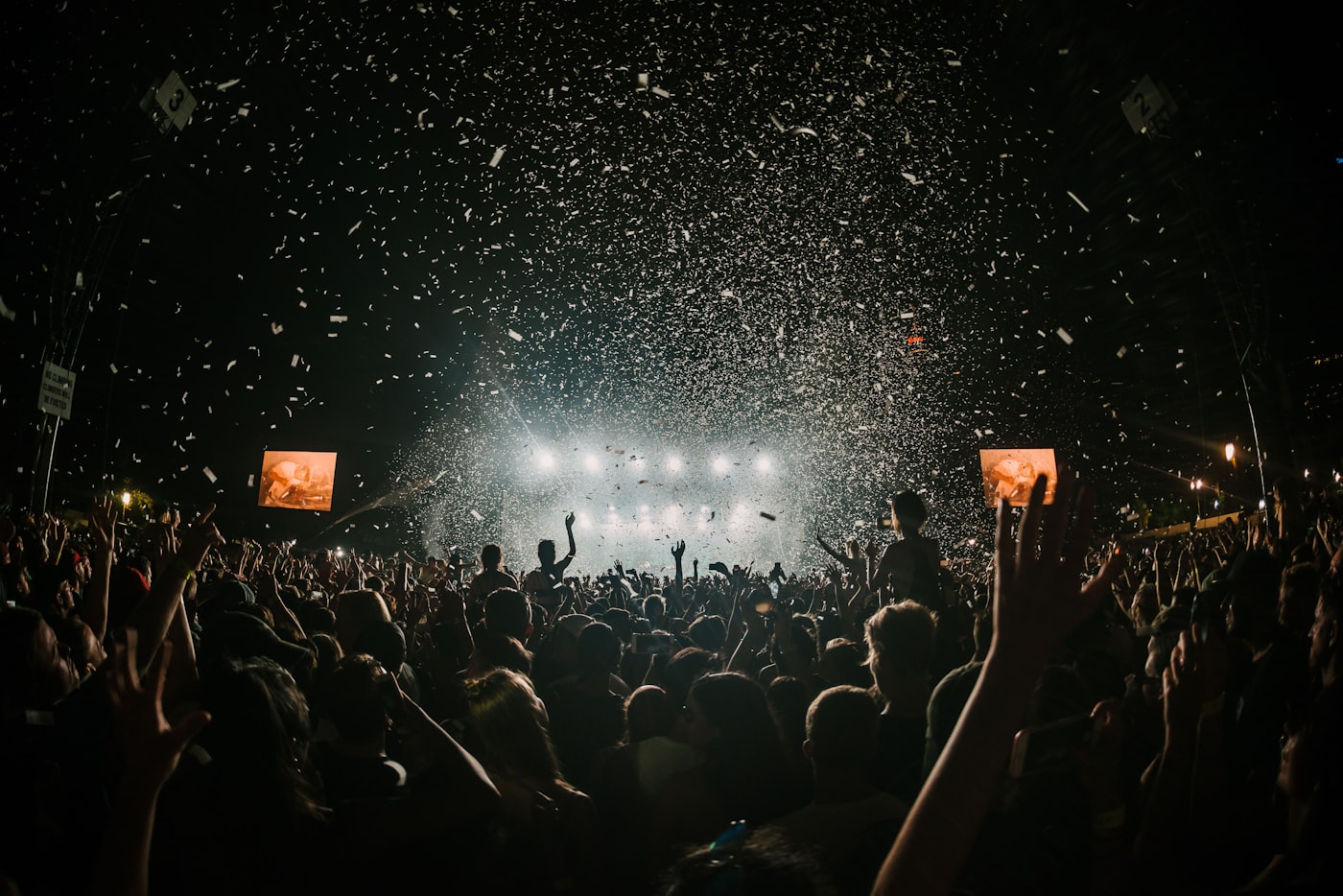 Massive crowd at Bonnaroo music festival