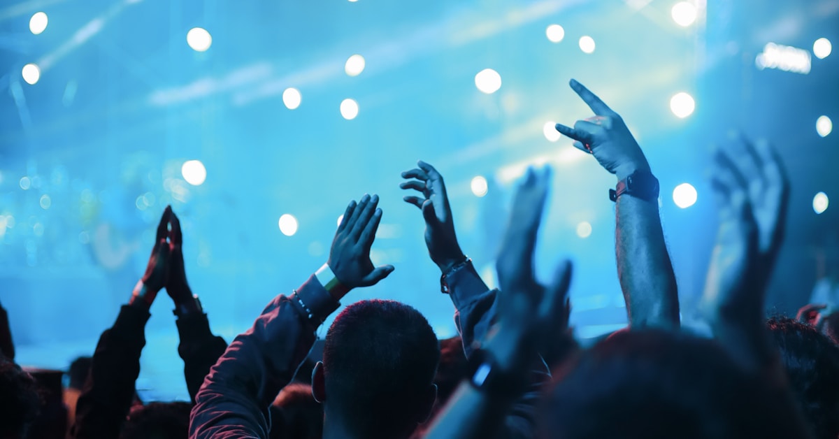 Bonnaroo festival energy