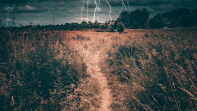 Nashville New Year's Eve fireworks lighting up the night sky