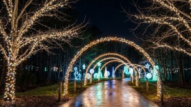 Illuminated arches of warm white lights over a park path at night with glowing displays among bare trees (illustrative)