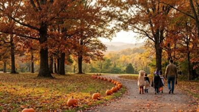 Family walking a leaf-covered park trail lined with jack-o'-lanterns in fall color (illustrative)