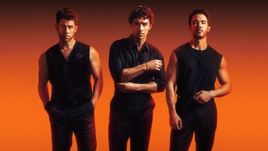 Jonas Brothers on stage at Bridgestone Arena, Nashville